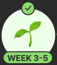 week3